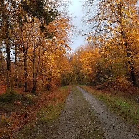 A&b Wellness 6 Personen ヴィラ