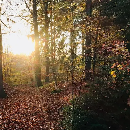 ヴィラ A&b Wellness 6 Personen *